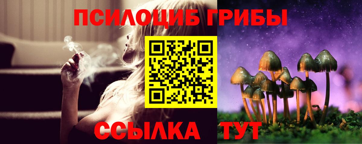 Кизилюрт  Псилоцибиновые грибы GOLDEN TEACHER  Вход с VPN 