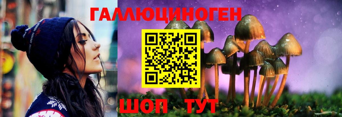 Галлюциногенные грибы GOLDEN TEACHER Кизилюрт